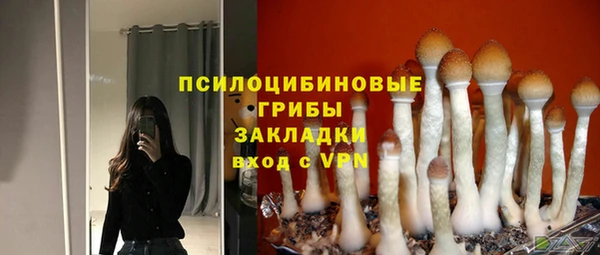 спиды Балахна