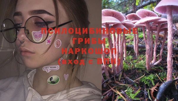 прущий лед Белокуриха