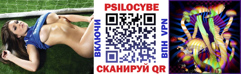 цены наркотик  Малая Вишера  Галлюциногенные грибы Magic Shrooms 